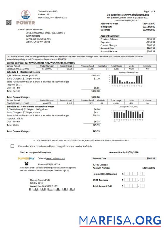 Blank USA Washington Chelan County PUD utility bill template in Word and PDF format